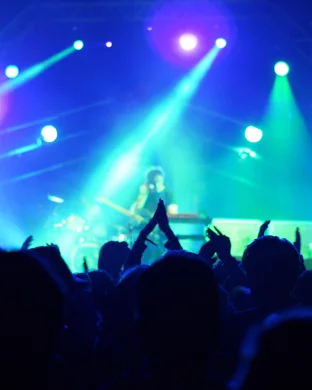 Grunge Fest: Tributes to Stone Temple Pilots and Alice In Chains