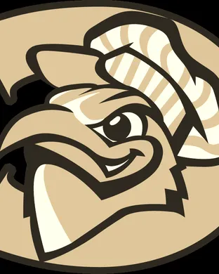 Chattanooga Mocs vs. Furman Paladins sports event