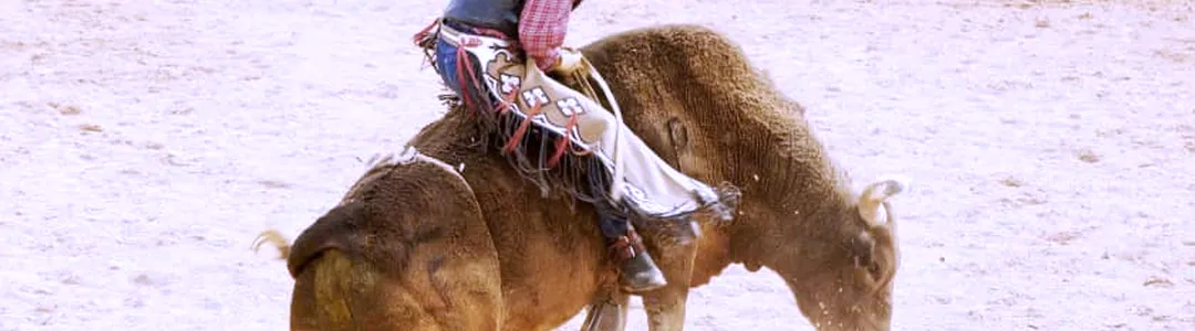 Chattanooga Stampede