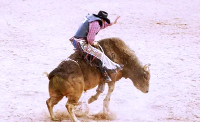 Chattanooga Stampede