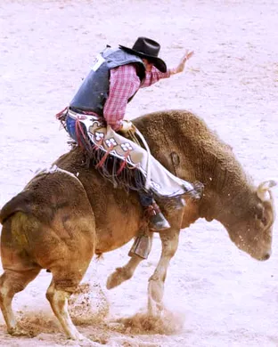 Chattanooga Stampede