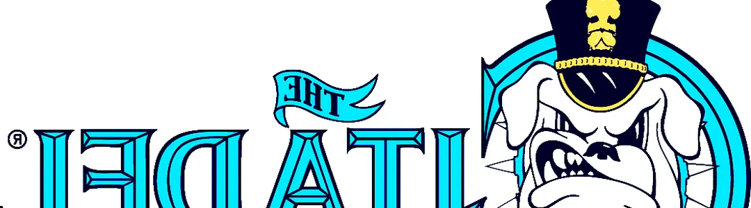 The Citadel Bulldogs