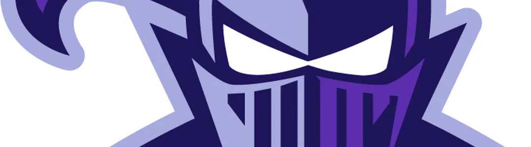 Furman Paladins