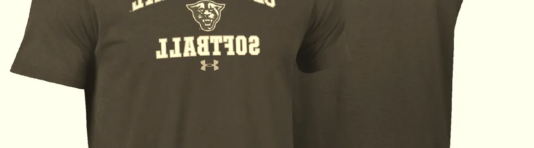 Georgia State Panthers Softball