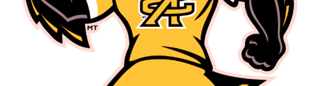 Kennesaw State Owls