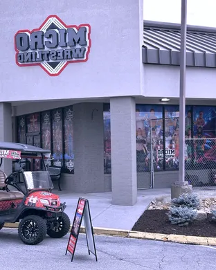 Micro Wrestling Federation