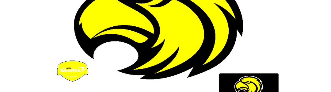 Southern Miss Golden Eagles