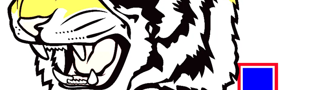 Tennessee State Tigers