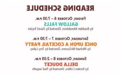 The New Play Festival