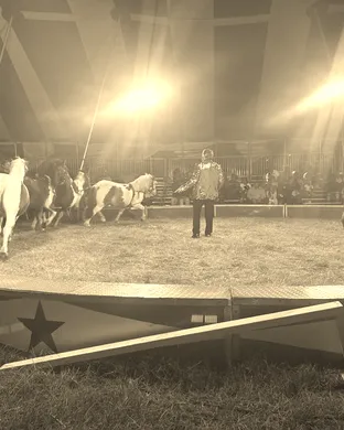 Zerbini Family Circus event
